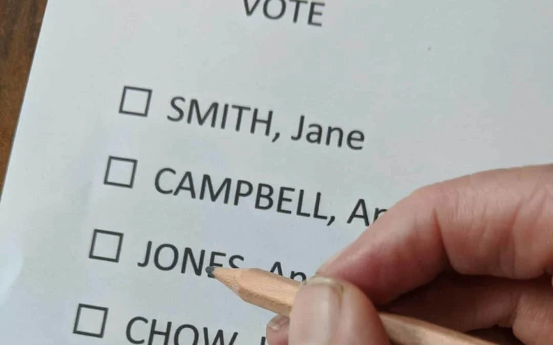 ELECTION SURVIVAL GUIDE: NEWSPAPERS and NEWSLETTERS