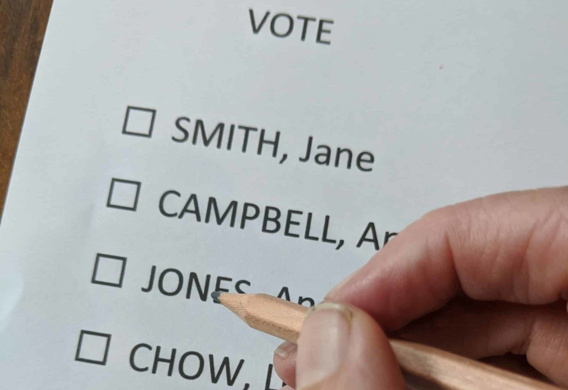 ELECTION SURVIVAL GUIDE: NEWSPAPERS and NEWSLETTERS